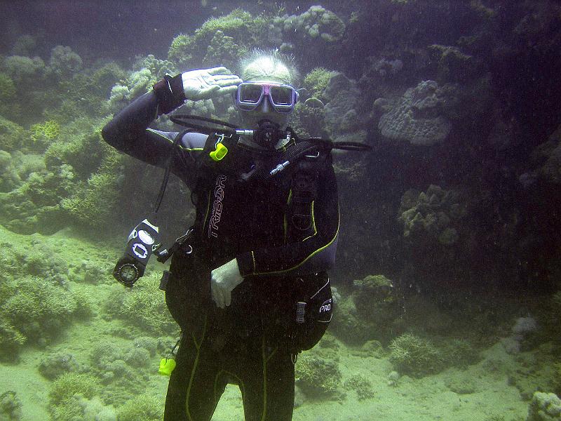 MANGROVE 07  2008 281.jpg